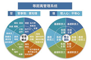 溫州企業管理咨詢 為何朗歐是您駐廠咨詢的卓越之選？