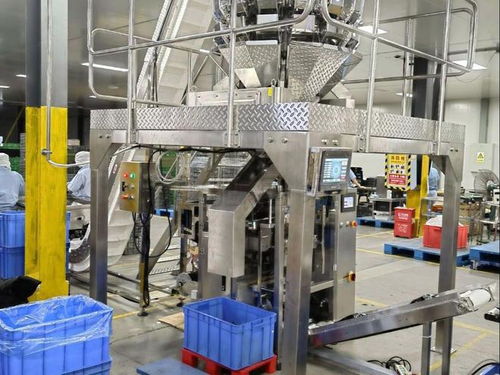 全自動膨化食品包裝設備品牌推薦 賦能蝦條、薯片、蝦片、鍋巴高效生產